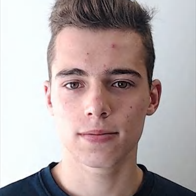 Luís Gonçalves (Luís)