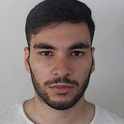 Diogo Fernandes (Estrelado)