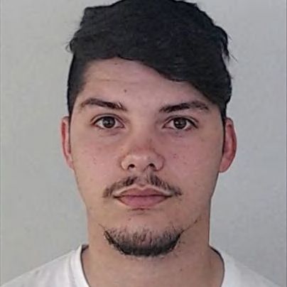 Henrique Rodrigues