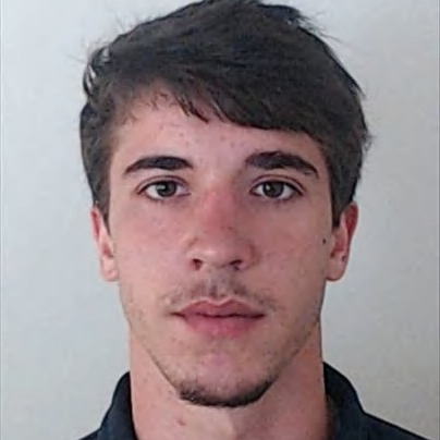 André Araújo (Araújo)