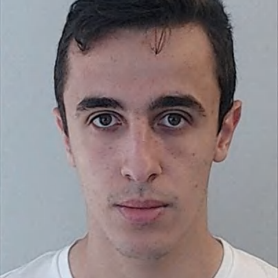 Daniel Ferreira (Dani)