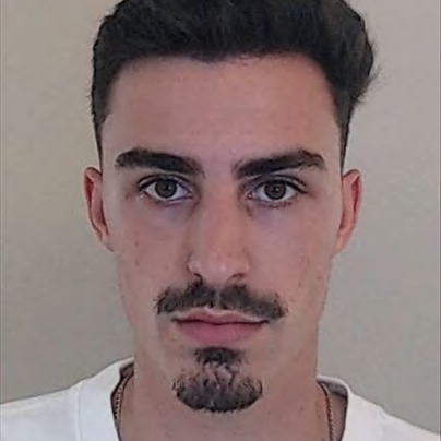 Diogo Gomes