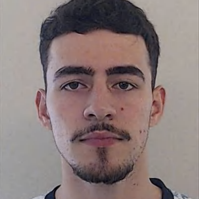 Vítor Araújo