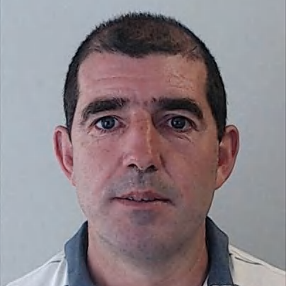 José Carriço (Berto Carriço)