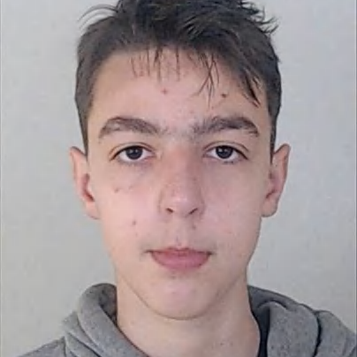 Gonçalo Araújo (Gonçalo)