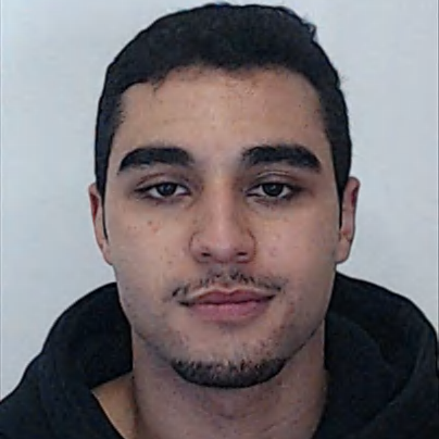 Bruno Pereira