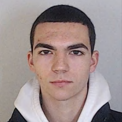 Gonçalo Araújo
