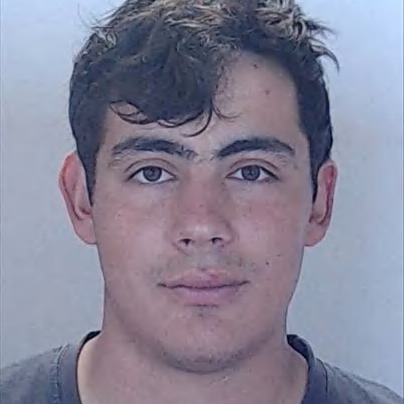 Carlos Ferreira (Miguel Ferreira)
