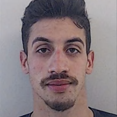 José Araujo (Pesk)