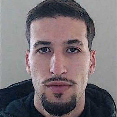 Nuno Ferreira (Miguel)